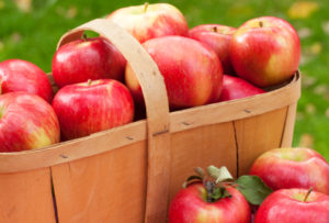applesinbasket